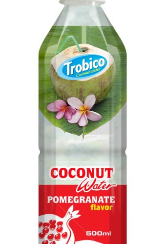 500ml Fruit Flavour Coconut Water